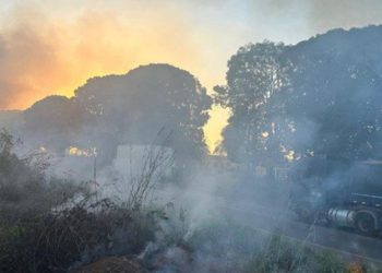 Polícia Federal prende suspeitos por incêndio ilegal às margens da BR-364 em Rondônia