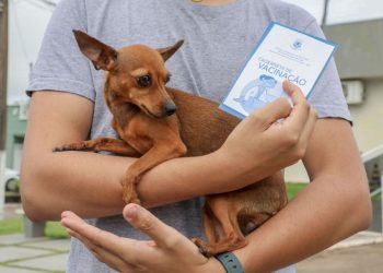Caso suspeito de leishmaniose canina é identificado em Porto Velho