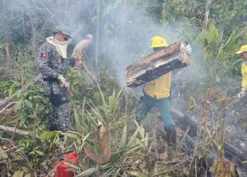 Corpo de Bombeiros abre seleção com 260 vagas para brigadistas