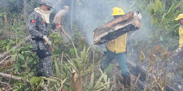 Corpo de Bombeiros abre seleção com 260 vagas para brigadistas