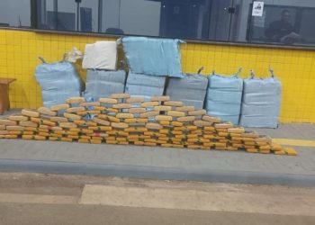 Motorista é preso com quase meia tonelada de maconha em Vilhena