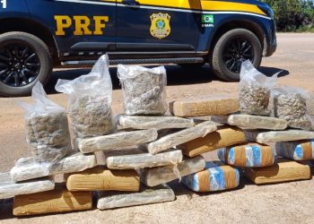 PRF apreende 23 kg de maconha escondidos em táxi na BR-364