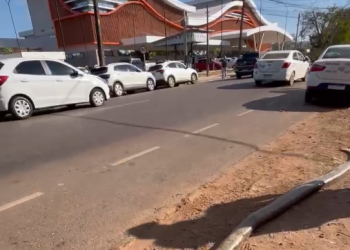 Cobra é encontrada em frente à rodoviária de Porto Velho