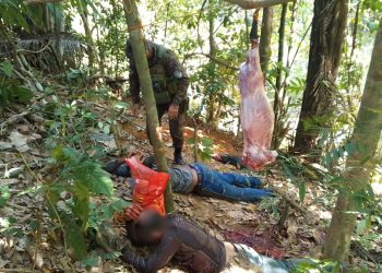 Dois homens são presos por caça ilegal em operação da Polícia Ambiental