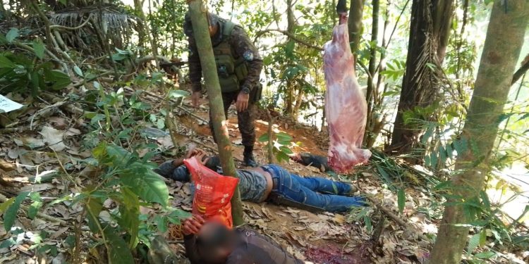 Dois homens são presos por caça ilegal em operação da Polícia Ambiental
