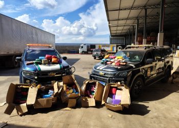 Polícia Civil e Receita Federal apreendem 200 kg de drogas em Porto Velho