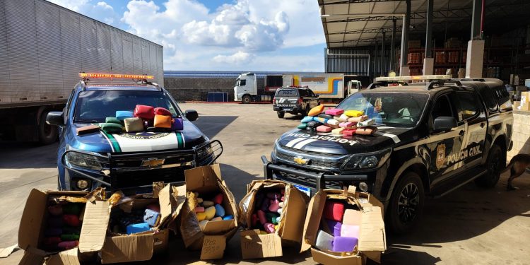 Polícia Civil e Receita Federal apreendem 200 kg de drogas em Porto Velho