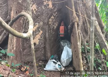 Crimes ambientais continuam a ameaçar Parque Estadual de Guajará-Mirim