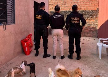 Operação da Polícia Federal resulta em prisão por exploração sexual infantil e maus-tratos a animais em Porto Velho