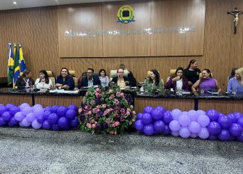 Ellis Regina promove audiência pública contra violência doméstica em Porto Velho