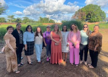 Ellis Regina garante audiência pública sobre Casa da Mulher Brasileira