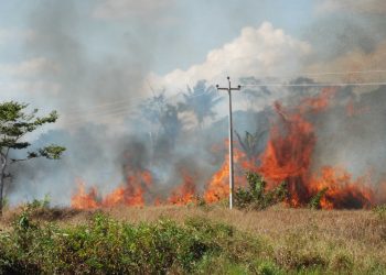 Queimadas em Porto Velho podem gerar multa de até R$ 10 milhões, determina nova lei municipal