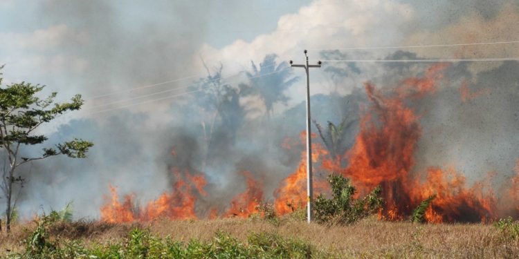 Queimadas em Porto Velho podem gerar multa de até R$ 10 milhões, determina nova lei municipal