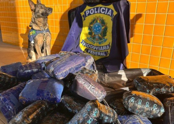 Homem e adolescente de Rondônia são flagrados com 50 tabletes de skunk em ônibus