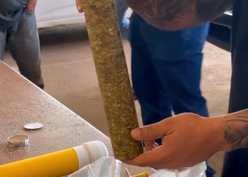 Mais de 250 kg de skunk são apreendidos em fiscalização na BR-319