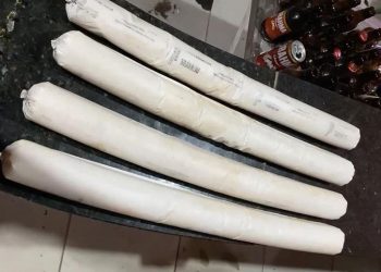 Mulher é presa com munições e explosivos em casa na zona leste