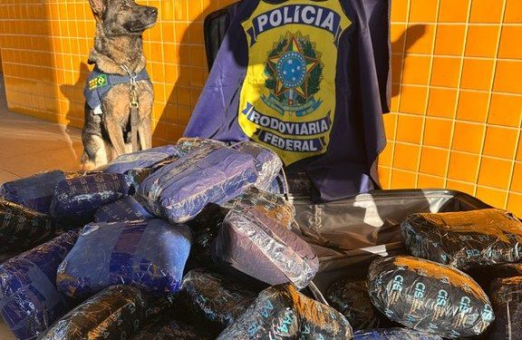 Homem e adolescente de Rondônia são flagrados com 50 tabletes de skunk em ônibus