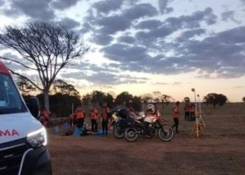 Grupo de Legendários é atacado por enxame de abelhas e participantes precisam ser hospitalizados