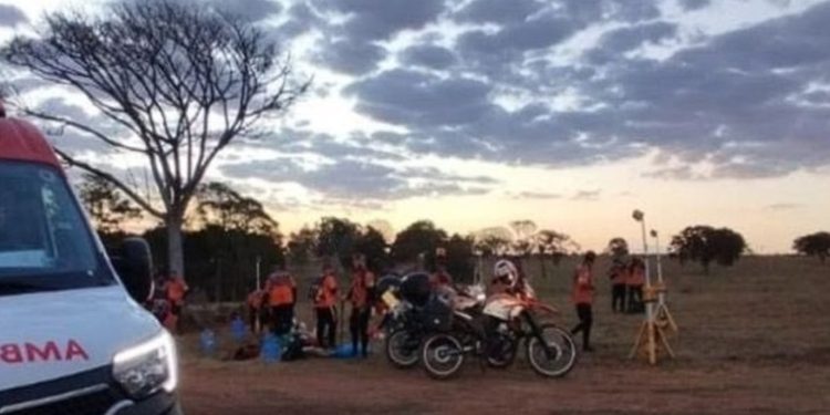 Grupo de Legendários é atacado por enxame de abelhas e participantes precisam ser hospitalizados