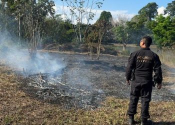 Preso em flagrante por atear fogo às margens da BR-364