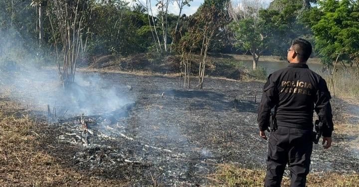 Preso em flagrante por atear fogo às margens da BR-364