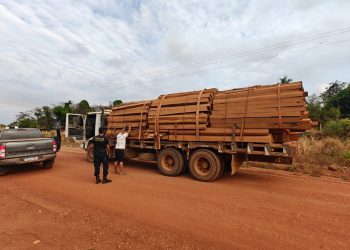 PF deflagra operação contra extração ilegal de madeira em terra indígena