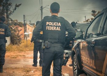 PF deflagra operação contra grilagem na Floresta Bom Futuro