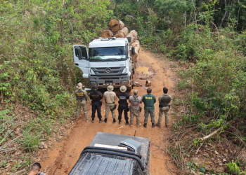PF e Ibama destroem maquinário em operação na Terra Indígena Roosevelt