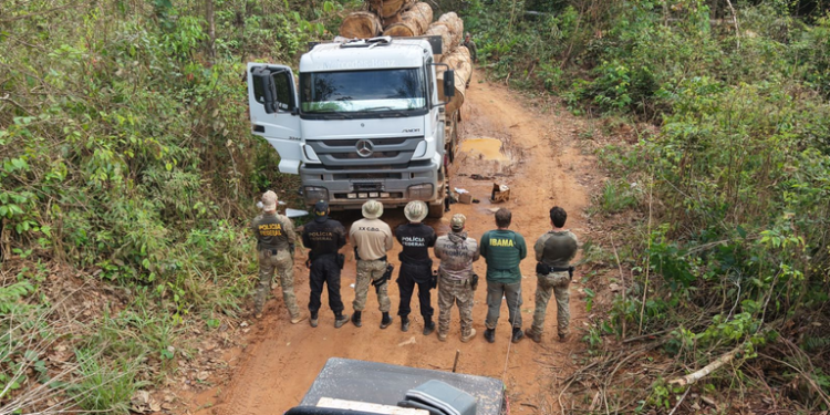 PF e Ibama destroem maquinário em operação na Terra Indígena Roosevelt