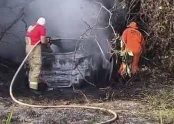 Tragédia na BR-429: irmãos morrem carbonizados em acidente