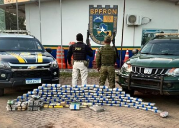 Ação conjunta apreende 130 kg de drogas e prende suspeito na BR-364