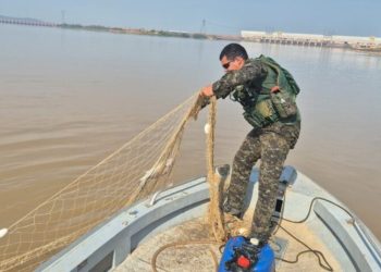 Operação apreende 800 quilos de pescado irregular no Rio Madeira