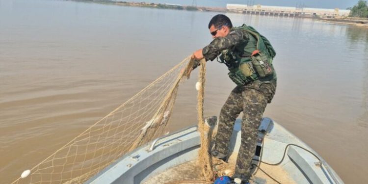 Operação apreende 800 quilos de pescado irregular no Rio Madeira