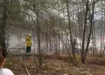 Grande queimada atinge região da Imigrantes com Guaporé em Porto Velho