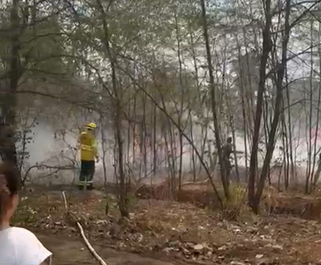 Grande queimada atinge região da Imigrantes com Guaporé em Porto Velho