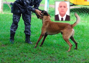 Advogado é preso com 8 kg de cocaína escondidos em tanque de combustível na BR-364