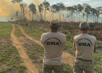 Mulher é presa pela Polícia Federal após incêndio criminoso em fazenda de Alto Paraíso