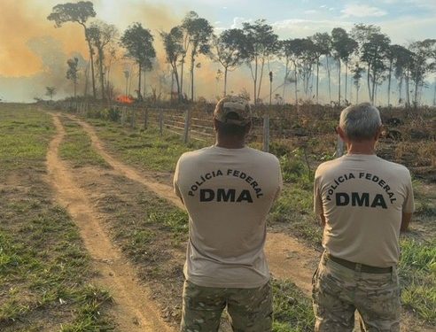 Mulher é presa pela Polícia Federal após incêndio criminoso em fazenda de Alto Paraíso