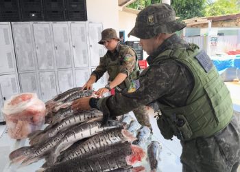 Batalhão Ambiental apreende mais de 200 kg de pescado irregular na BR-364