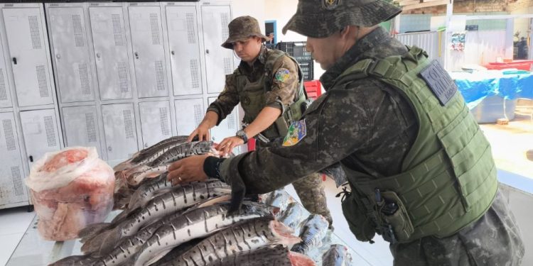 Batalhão Ambiental apreende mais de 200 kg de pescado irregular na BR-364