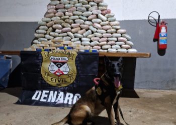 Denarc apreende 155 kg de drogas e armas em operação em Porto Velho
