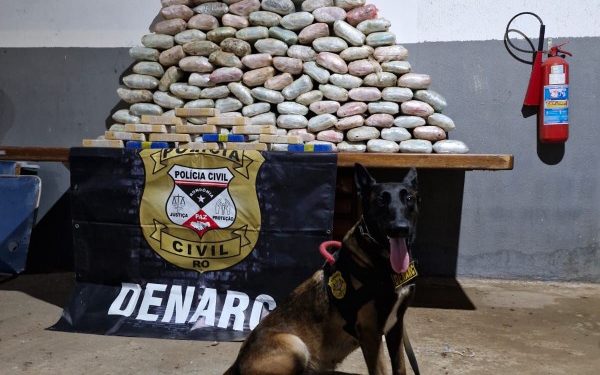 Denarc apreende 155 kg de drogas e armas em operação em Porto Velho