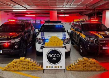 Polícia intercepta veículo e apreende mais de 150 kg de drogas na fronteira entre Acre e Rondônia