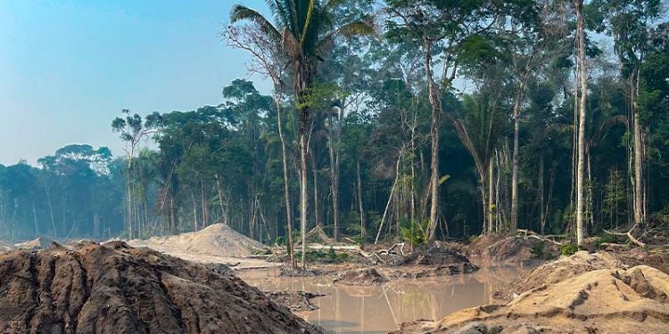 Lula autoriza concessão florestal em parque nacional de Rondônia