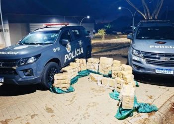 Carga com 464 quilos de crack vinda de Rondônia é apreendida em São Paulo