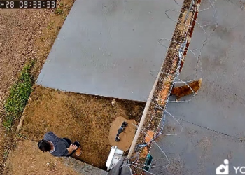 Criminosos Tentam Invadir Casa no loteamento Greenville