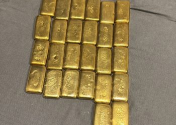 PF desmantela esquema de lavagem ligado à extração ilegal de madeira em Rondônia