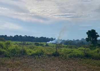 Justiça Federal suspende desocupação e garante permanência de famílias em área de litígio da Terra Uru-Eu-Wau-Wau