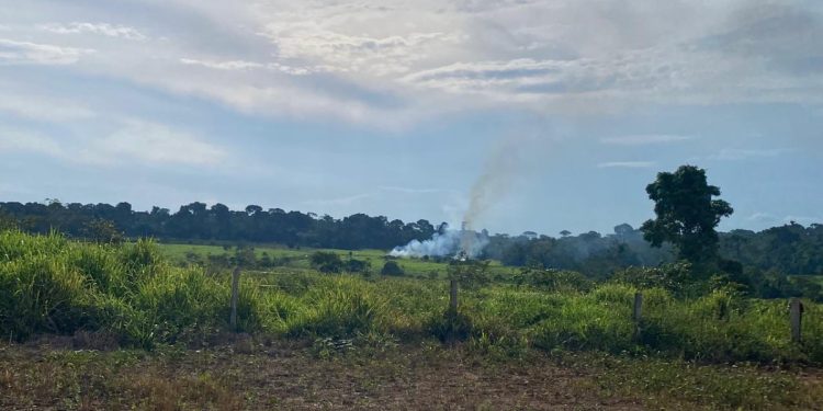 Justiça Federal suspende desocupação e garante permanência de famílias em área de litígio da Terra Uru-Eu-Wau-Wau
