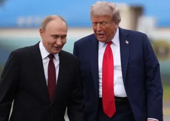 Plano de paz de Trump prevê cessão de territórios, divisão de usina nuclear e reconstrução com ativos russos